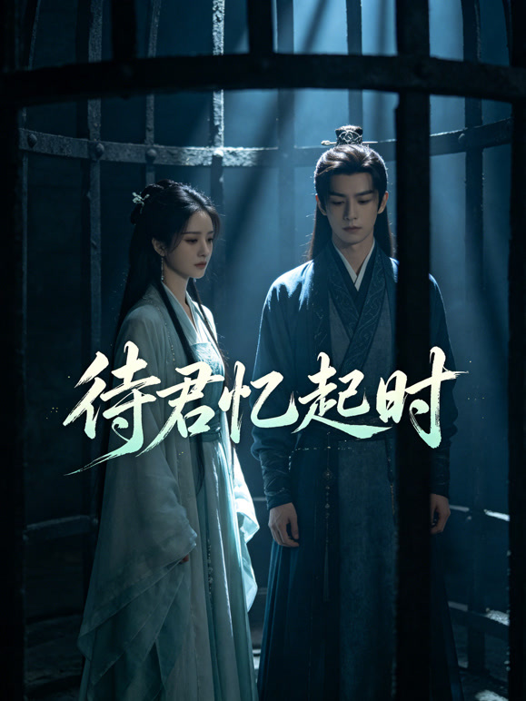 待君忆起时封面图
