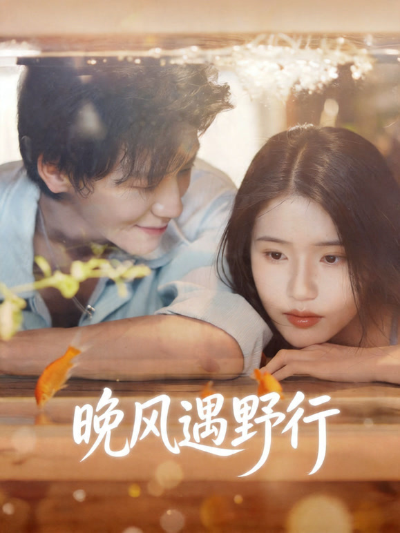 晚风遇野行封面图