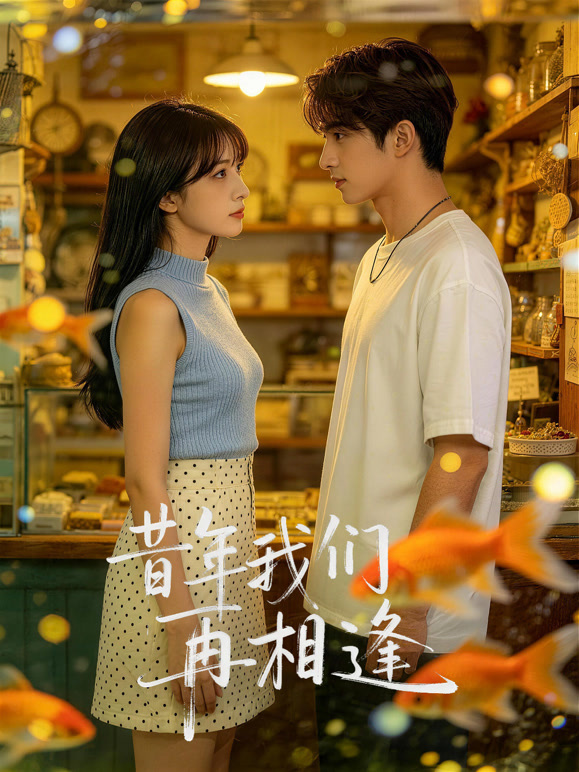 昔年我们再相逢封面图