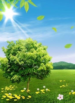 我和春天有个约会2018封面图