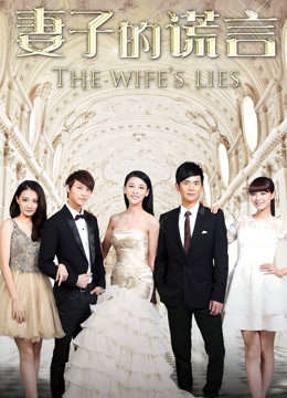 妻子的谎言 DVD版封面图