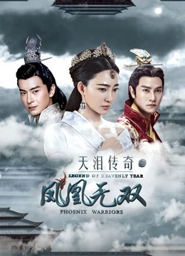 天泪传奇之凤凰无双封面图