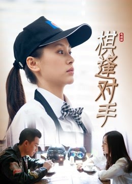 棋逢对手封面图