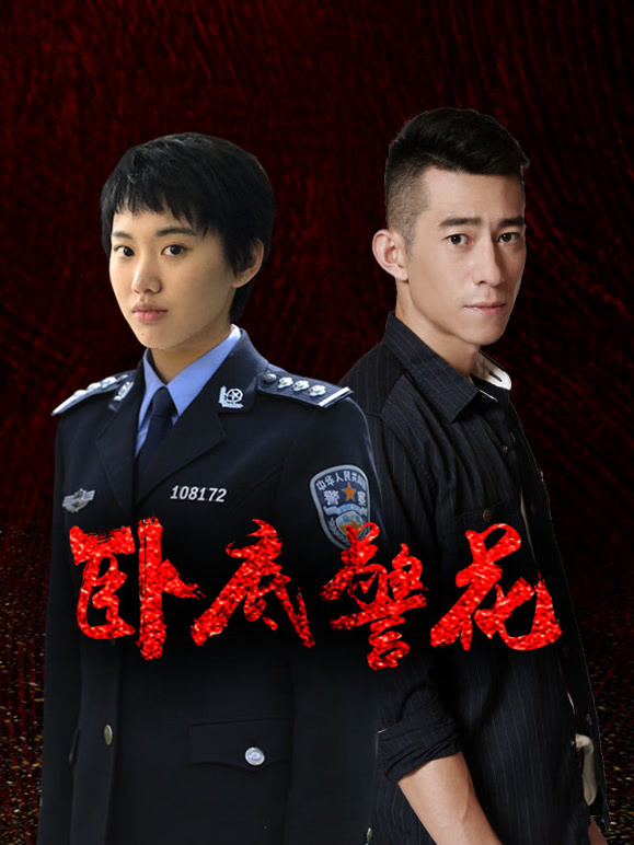 卧底警花封面图