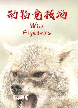 动物竞技场封面图