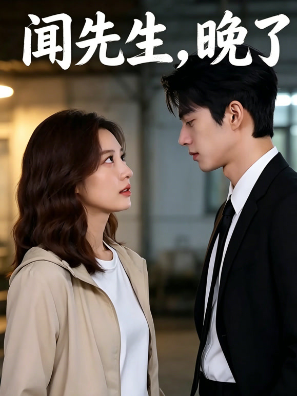 闻先生晚了封面图