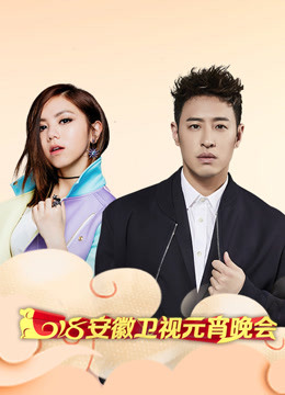 2018安徽卫视元宵封面图