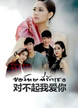 泰语版对不起我爱你版封面图