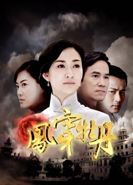 凤穿牡丹封面图