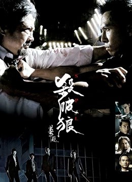杀破狼封面图