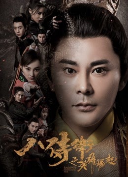 八侍卫之英雄崛起封面图