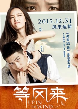 等风来无障碍解说版封面图