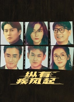 纵有疾风起封面图