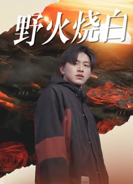 野火烧白封面图