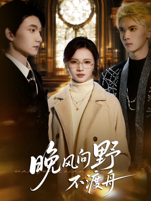 晚风向野不渡舟封面图