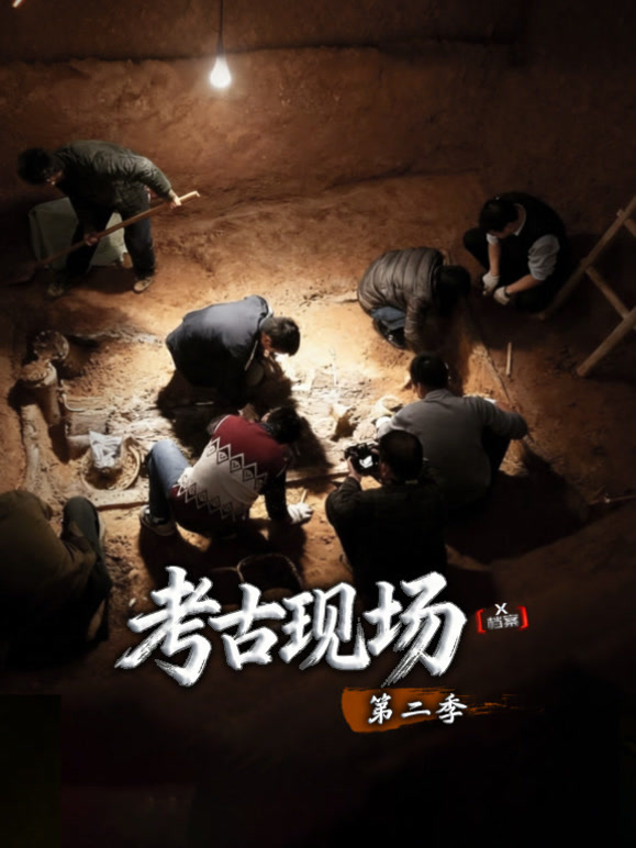 X档案:考古现场 第二季封面图