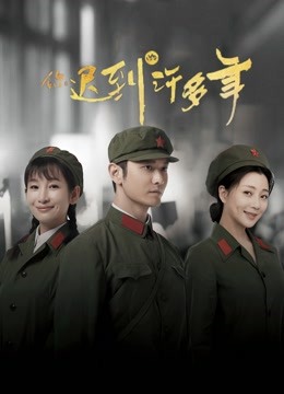 你迟到的许多年 DVD版封面图