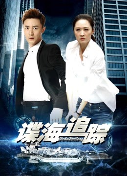 谍海追踪封面图