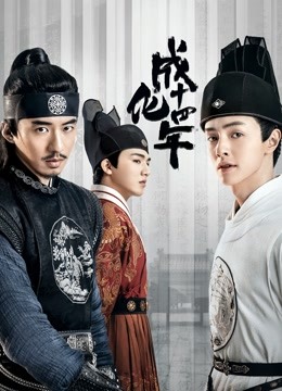 成化十四年封面图