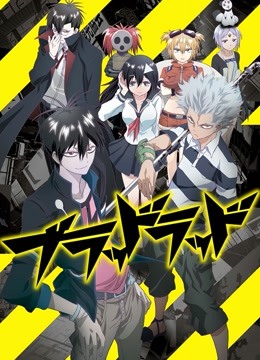 血意少年封面图