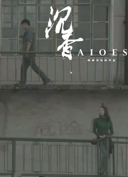 沉香封面图