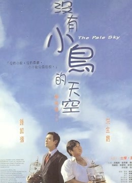 没有小鸟的天空粤语封面图