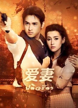 爱妻版封面图