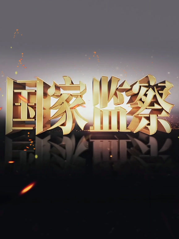 国家监察封面图