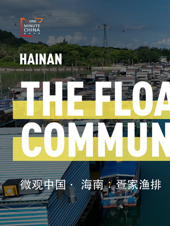 微观中国:海南封面图