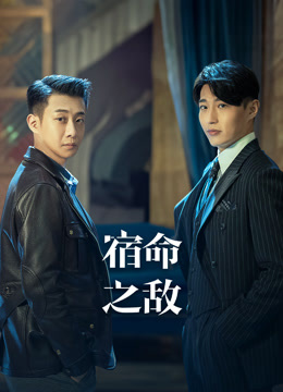 宿命之敌封面图