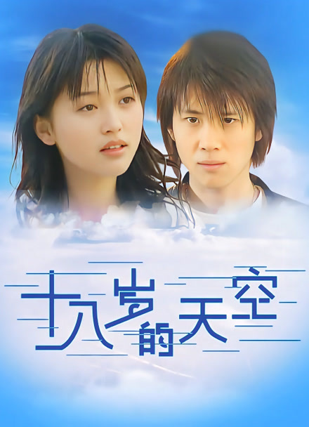 十八岁的天空封面图