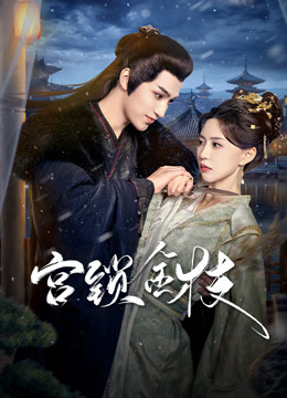 宫锁金枝封面图