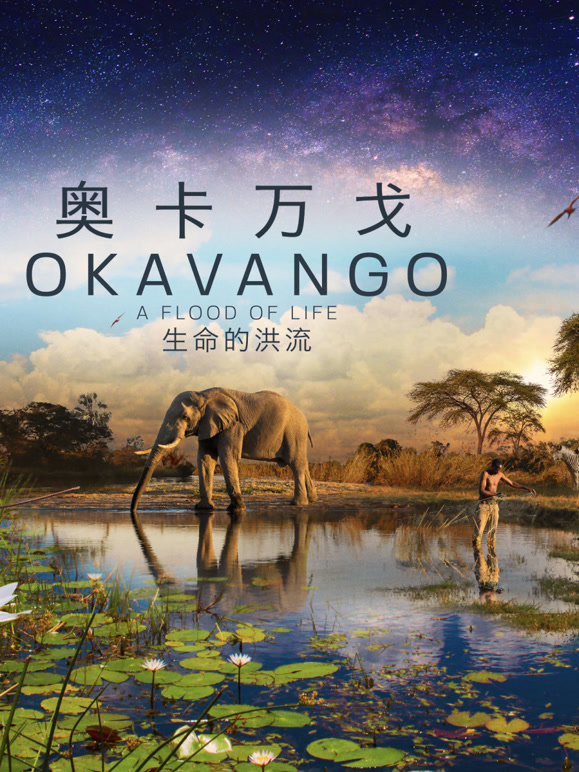 奥卡万戈:生命的洪流 版封面图