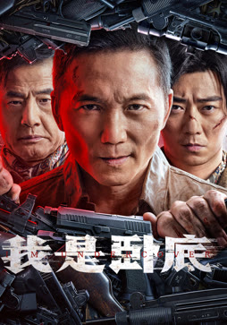 我是卧底封面图