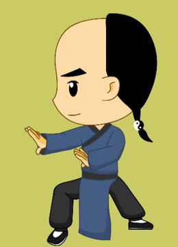 太极小子封面图