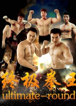终极拳王封面图