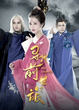 寻找前世之旅封面图