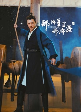 那片星空那片海2 DVD版封面图