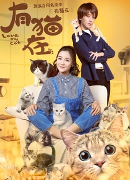 有猫在封面图