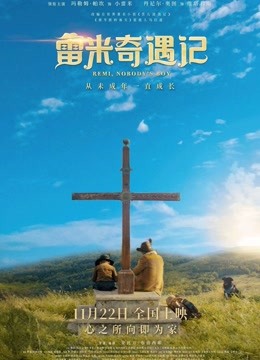 雷米奇遇记封面图