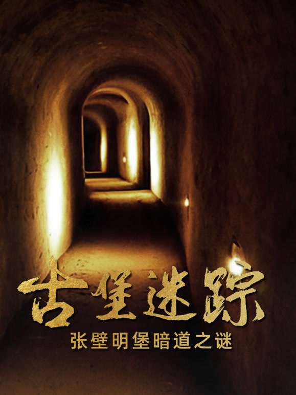古堡迷踪封面图