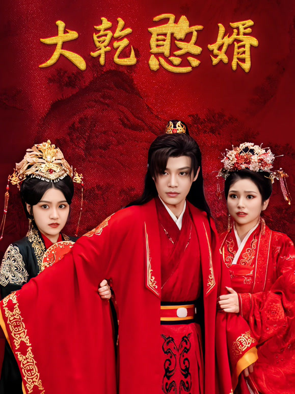 大乾憨婿封面图