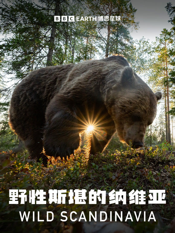 野性斯堪的纳维亚封面图