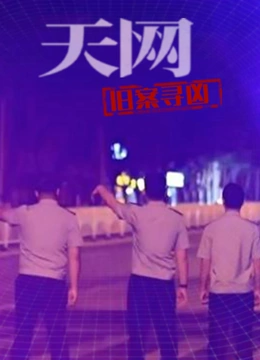 天网：旧案寻凶封面图