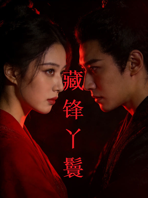 藏锋丫鬟封面图