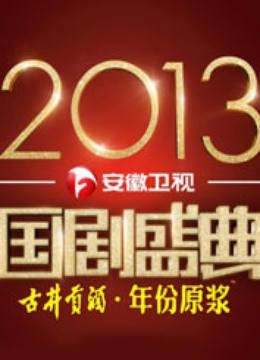 安徽卫视2013国剧盛典封面图