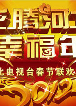 河北卫视2012春晚封面图