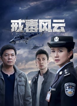 戒毒风云封面图