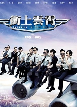 冲上云霄封面图