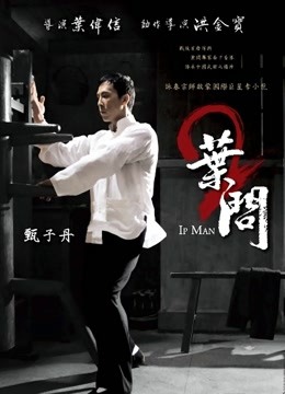 叶问2:宗师传奇封面图